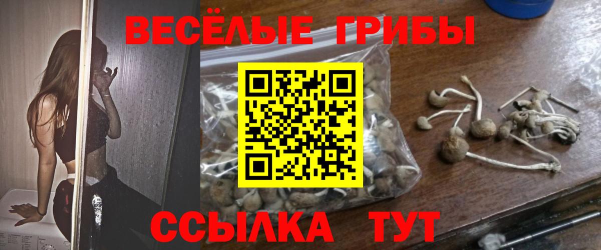 Галлюциногенные грибы мицелий  Вход с VPN  Симферополь  Псилоцибиновые грибы мухоморы 